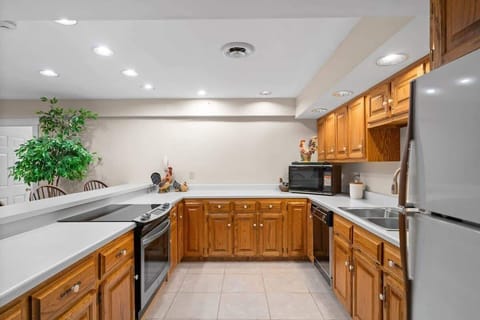 Basement Kitchen