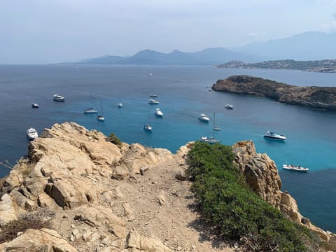 Miscellaneous