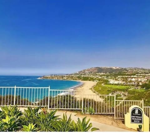 View from the Ritz Carlton overlooking the epic Salt Creek Beach just 3 mi. away