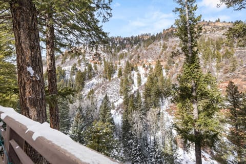 You will feel immersed in nature on the back patio with tall trees, red hills and Maroon Creek softly rushing below