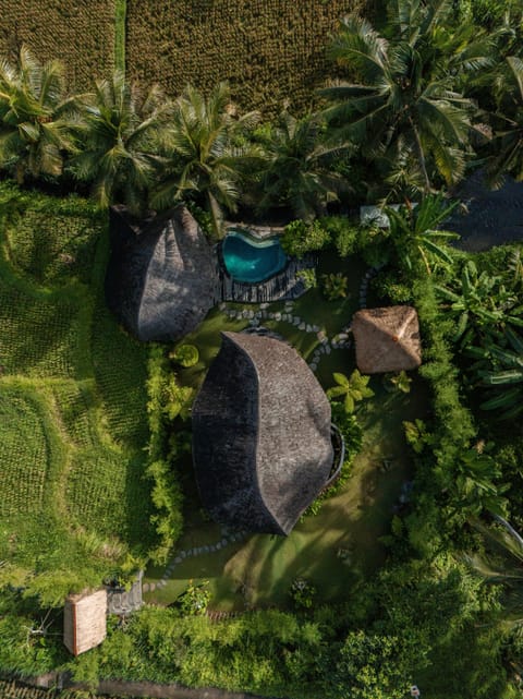 Birds View