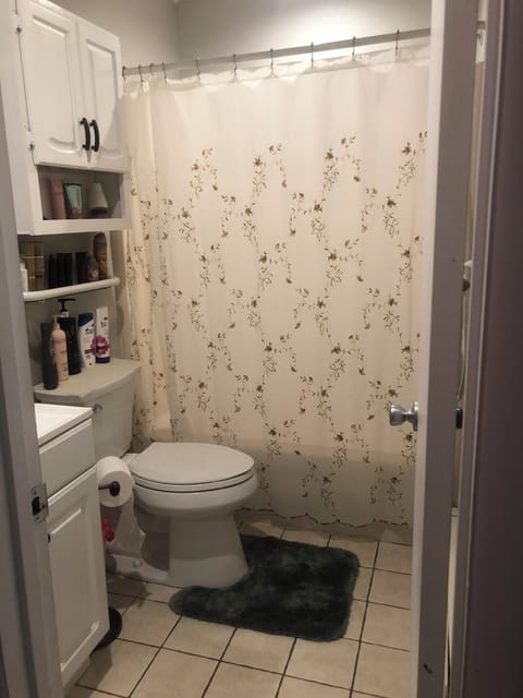 Main floor/ upstairs bathroom