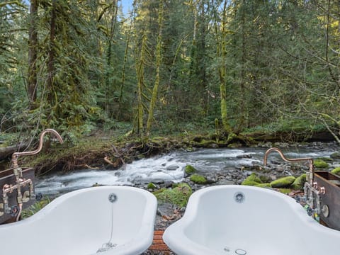 Soak in twin clawfoot tubs beside a rushing forest stream, where copper fixtures gleam and moss-covered trees create your private wilderness sanctuary.