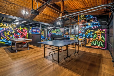 Game room air hockey, shuffleboard, ping pong, hoop toss, connect four, cornhole
