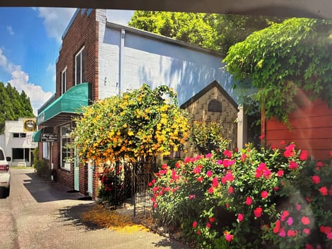 In the heart of downtown Ellijay