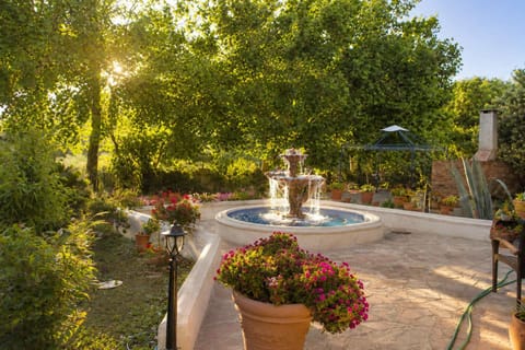 Peaceful garden courtyard with fountain – perfect for relaxing mornings.