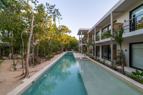Main Lap Pool