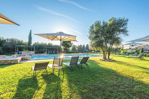 Blue, Garden, Swimming Pool, Landscaping, Lawn, Meadow, Park, Shade, Resort, Eco Hotel