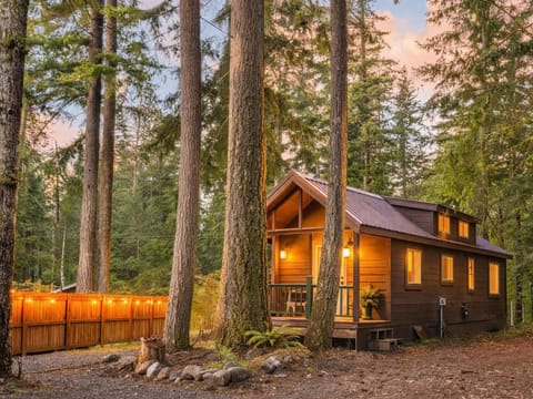 Cozy cabin retreat surrounded by towering pine trees