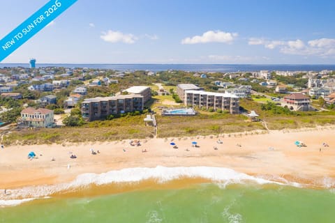 Colony by the Sea