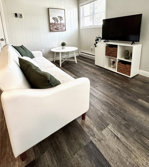 Living room with fold out couch, Smart TV, and large closet for storage