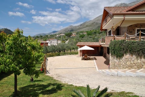 Garden view