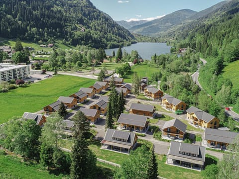 Immediate Surroundings [summer] (<1 km)