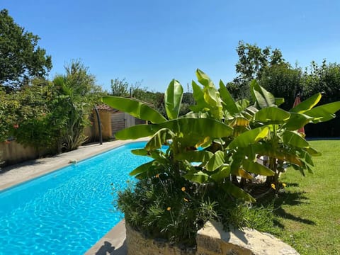 Piscine de 12m en plein soleil