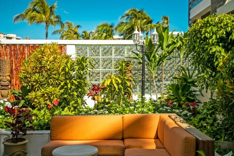 Relax on wicker chairs surrounded by greenery and warm sunlight