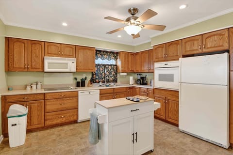 Indoors, Kitchen, Appliance, Ceiling Fan, Refrigerator