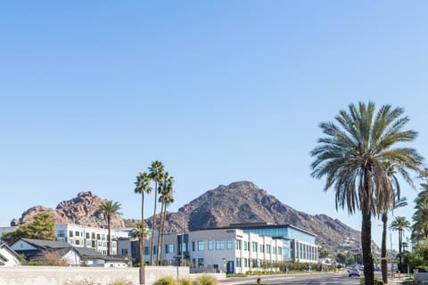Camelback mountain frames this modern area, where palm trees line the streets of your morning walks