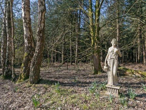 Surrounding area | Falconer&rsquo;s Lodge, High Ash