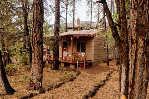 Cabin 7