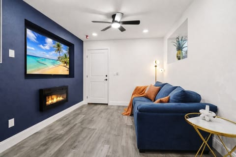 Living Room w/ electric fireplace