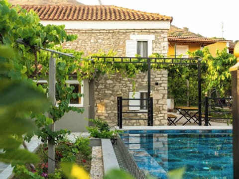 Shared swimming pool surrounded by greenery