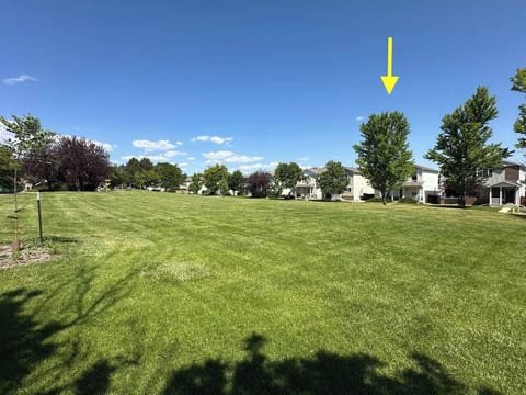 View from the open park space in front of the home
