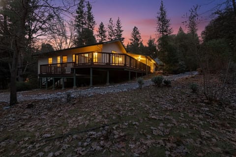 Cabin with beautiful pine tree surroundings