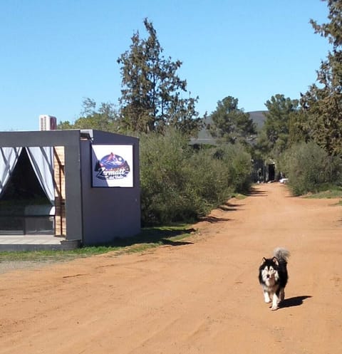 Pet-friendly