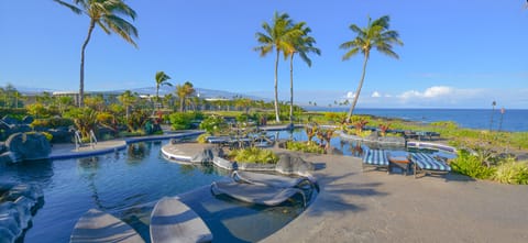 Dive into oceanfront bliss beside palm-framed lagoon pool views.