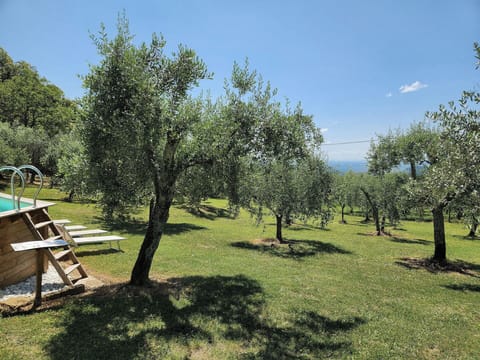 Autumn, Pool, Spring, Summer