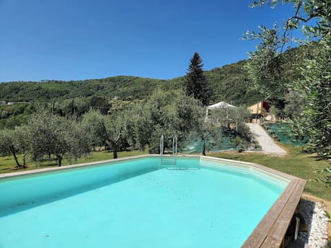 Autumn, Pool, Spring, Summer