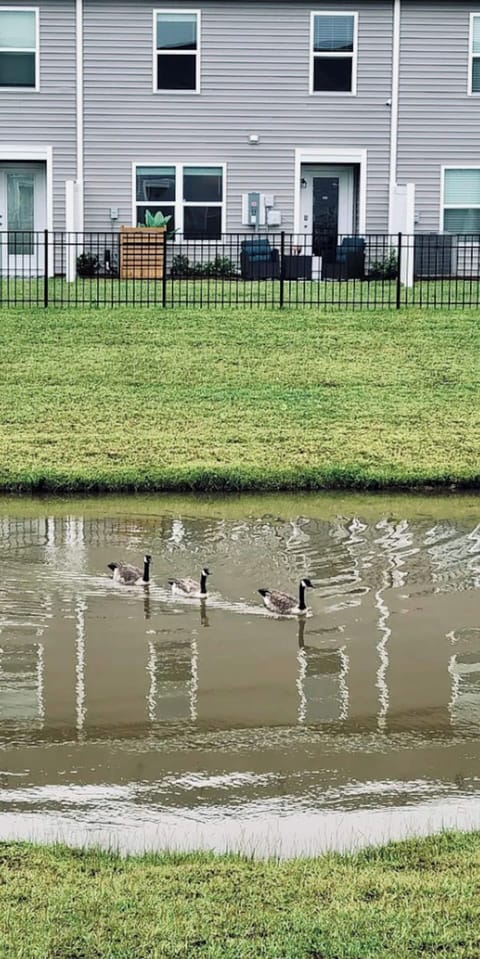 Serene pond behind the property.