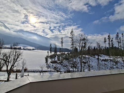 View from Holiday Home [winter]
