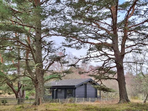 Exterior | Lochside Log Cabin, Brora