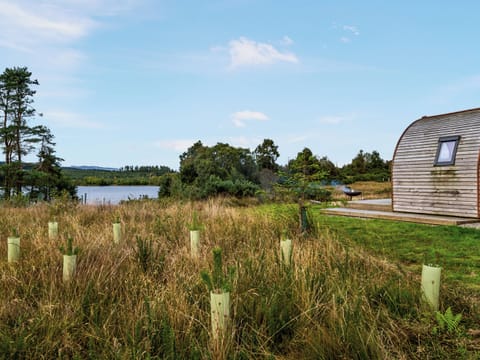 View | Now - Here & Now Pods : Now, Cassafuir