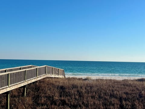 Welcome to Moonshine!