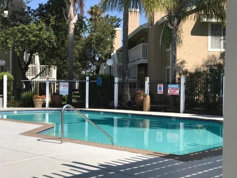 Stretch out on the deck and enjoy peaceful palm-lined vibes.