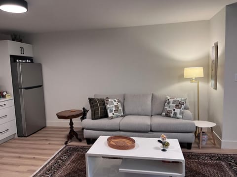 Living Area and Kitchen