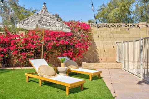 Lounge chairs + bougainvillea = best backyard vibes

