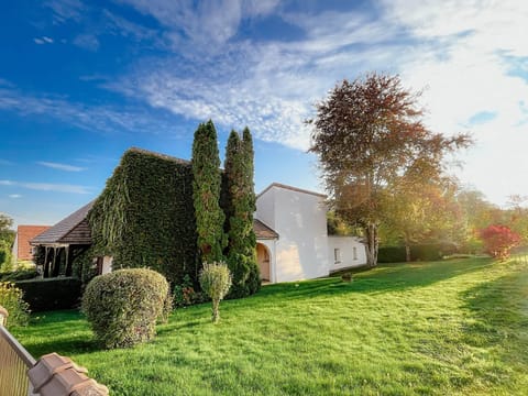 Back of the house and garden
