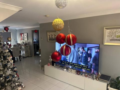 Television