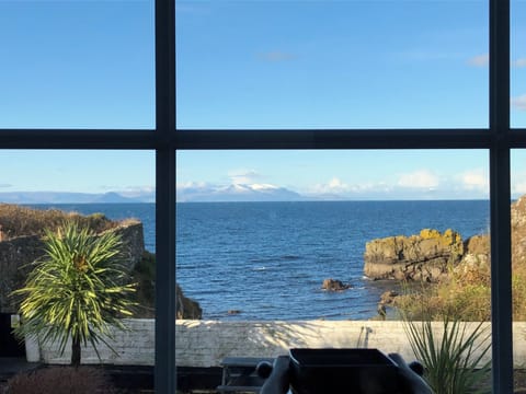 View from living room.