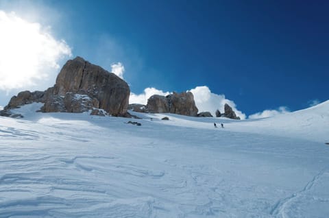 Snow and ski sports