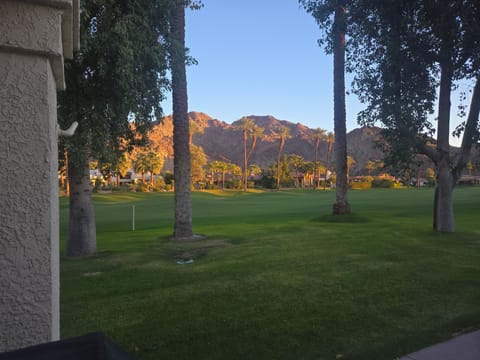 Another beautiful day in the Gem of the Desert