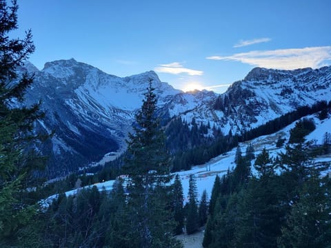 TOP 3 - Top apartments Bed and Breakfast in Brand