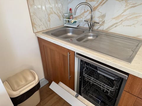 Kitchen sink & dishwasher