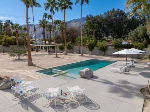 Modern desert oasis
