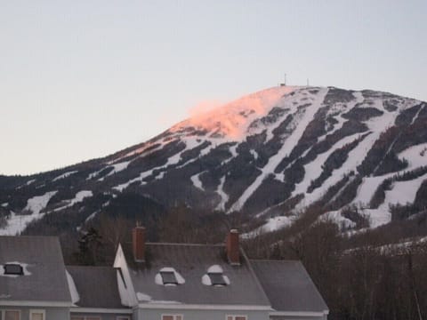View from the Living Room!