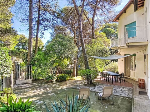 Tree, Vegetation, Shade, Garden, Backyard, Yard, Landscaping, Design, Hacienda, Outdoor Structure