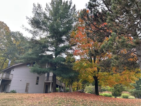 Unique 4-bedroom resort home overlooking golf course near Torch Lake and skiing. House in Michigan